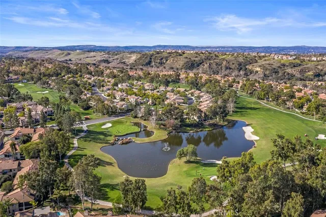 a view of a garden with plants and large trees
