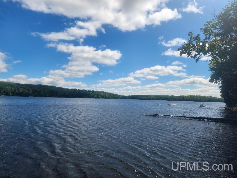 Tbd West Tamarack Lake Road, Unit LOT 5 Watersmeet, MI 49969 - Photo 51 of 66