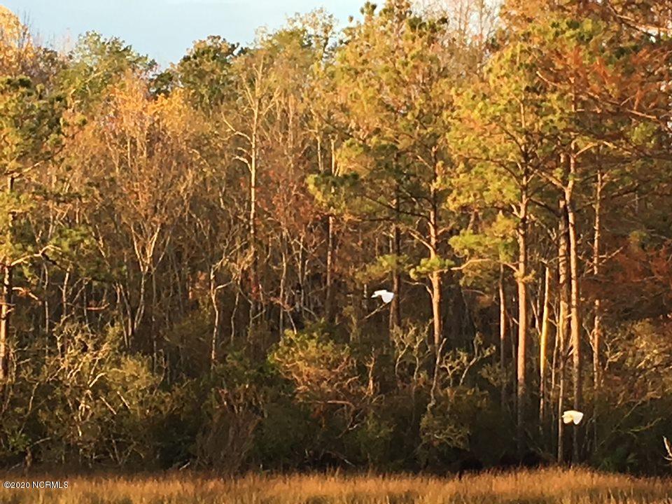 613 Hughes Road Hampstead, NC 28443 - Photo 7 of 8 jamesbirds3