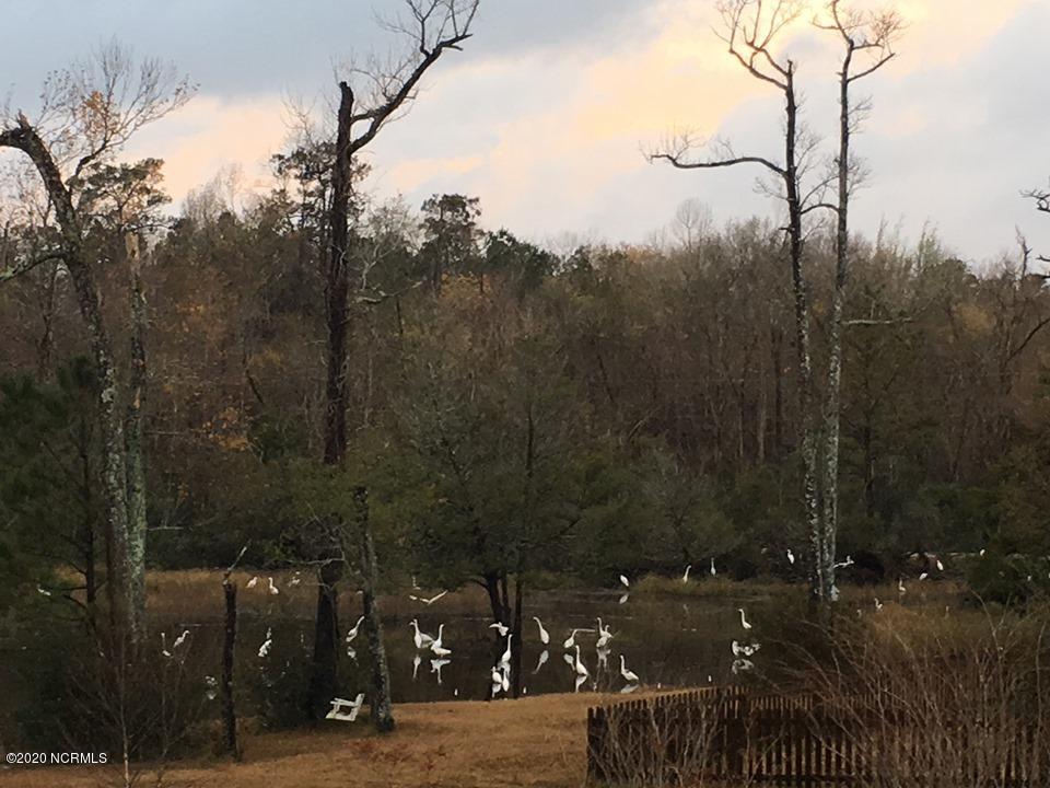 613 Hughes Road Hampstead, NC 28443 - Photo 8 of 8 jamesbirds2