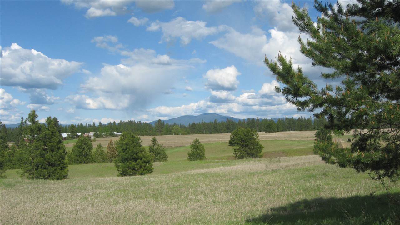 1302 West Wild Rose Road Colbert, WA 99005 - Photo 3 of 9 Gallery Image 3