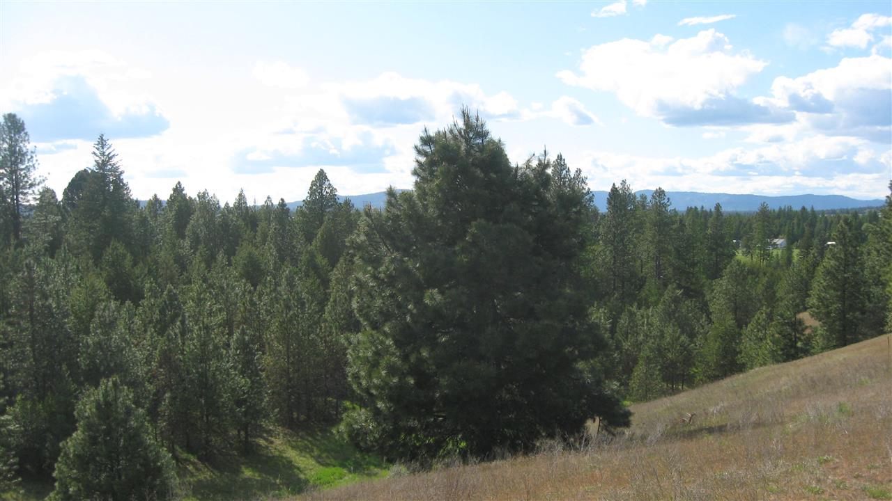 1302 West Wild Rose Road Colbert, WA 99005 - Photo 4 of 9 Gallery Image 4