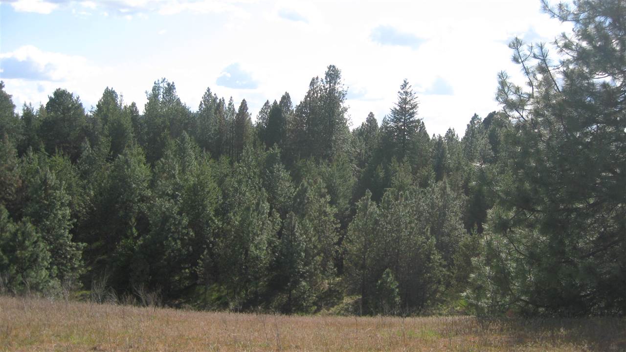 1302 West Wild Rose Road Colbert, WA 99005 - Photo 9 of 9 Gallery Image 9