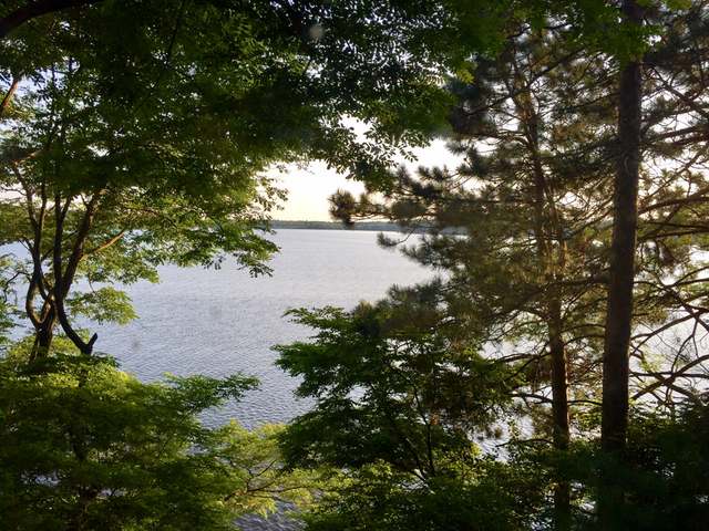 8200-38 Carter Road Minocqua, WI 54548 - Photo 9 of 20 Gallery Image 9