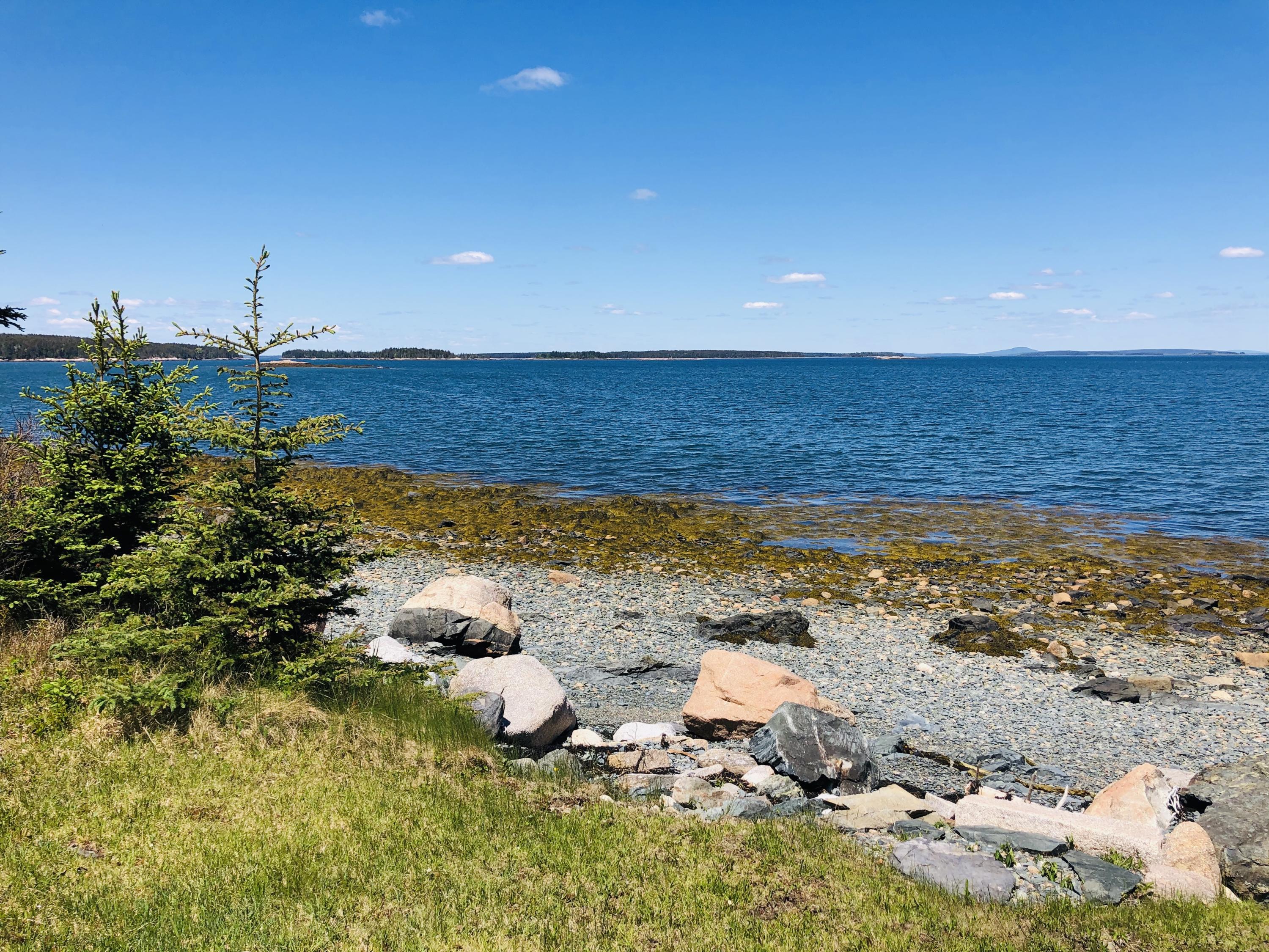 19 Steamboat Road Swans Island, ME 04685 - Photo 12 of 40 IMG_5620
