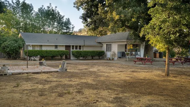 a view of a house with backyard and a tree