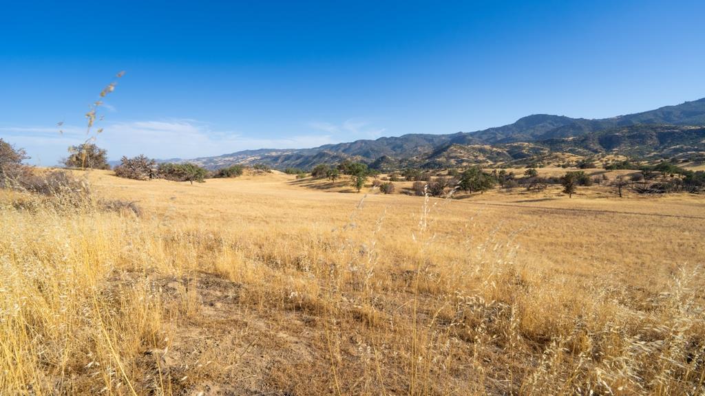 47069 Crump Lane Coalinga, CA 93210 - Photo 18 of 74