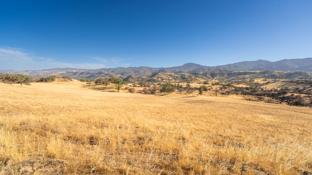 47069 Crump Lane Coalinga, CA 93210 - Photo 20 of 74