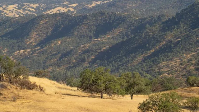 $2,843,450 | 47069 Crump Lane, Coalinga, CA 93210