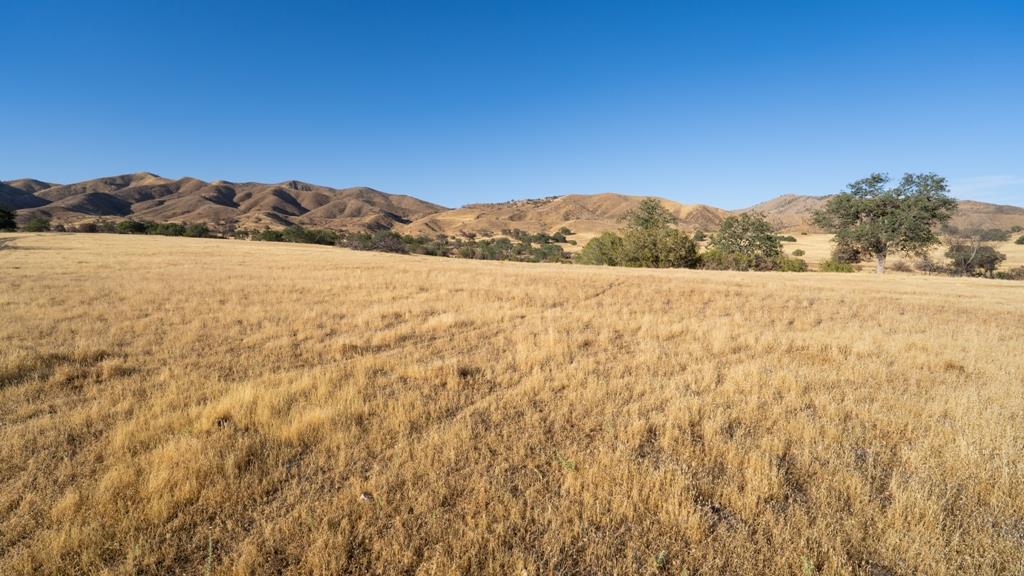 47069 Crump Lane Coalinga, CA 93210 - Photo 23 of 74