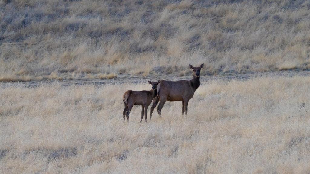 47069 Crump Lane Coalinga, CA 93210 - Photo 34 of 74