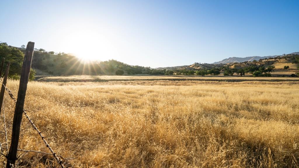 47069 Crump Lane Coalinga, CA 93210 - Photo 4 of 74