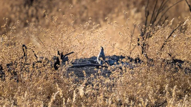 $2,843,450 | 47069 Crump Lane, Coalinga, CA 93210