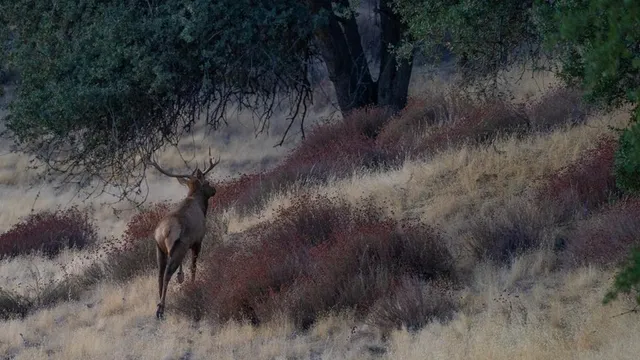 $2,843,450 | 47069 Crump Lane, Coalinga, CA 93210