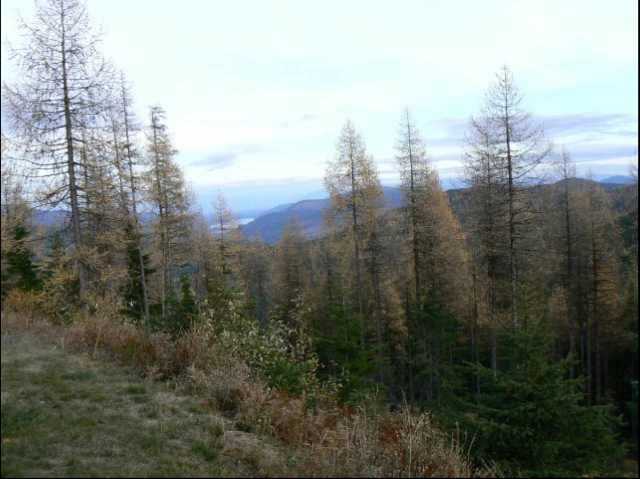 0 Lower Road, Unit LOT 29 Mead, WA 99021 - Photo 1 of 3 Gallery Image 1