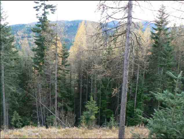 0 Lower Road, Unit LOT 29 Mead, WA 99021 - Photo 3 of 3 Gallery Image 3