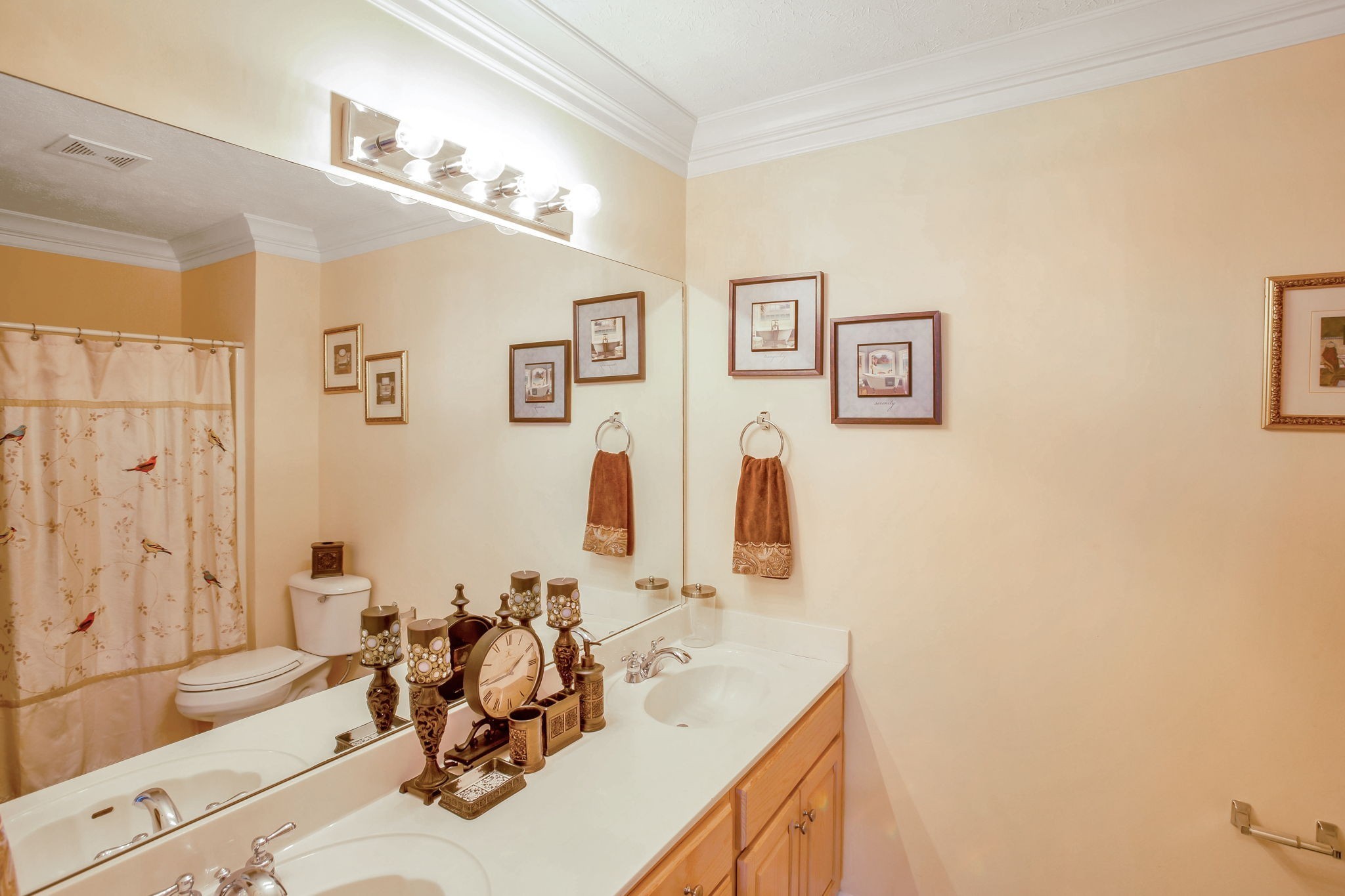 7344 Campton Road Nashville, TN 37211 - Photo 13 of 18 a bathroom with a sink vanity tub and a mirror