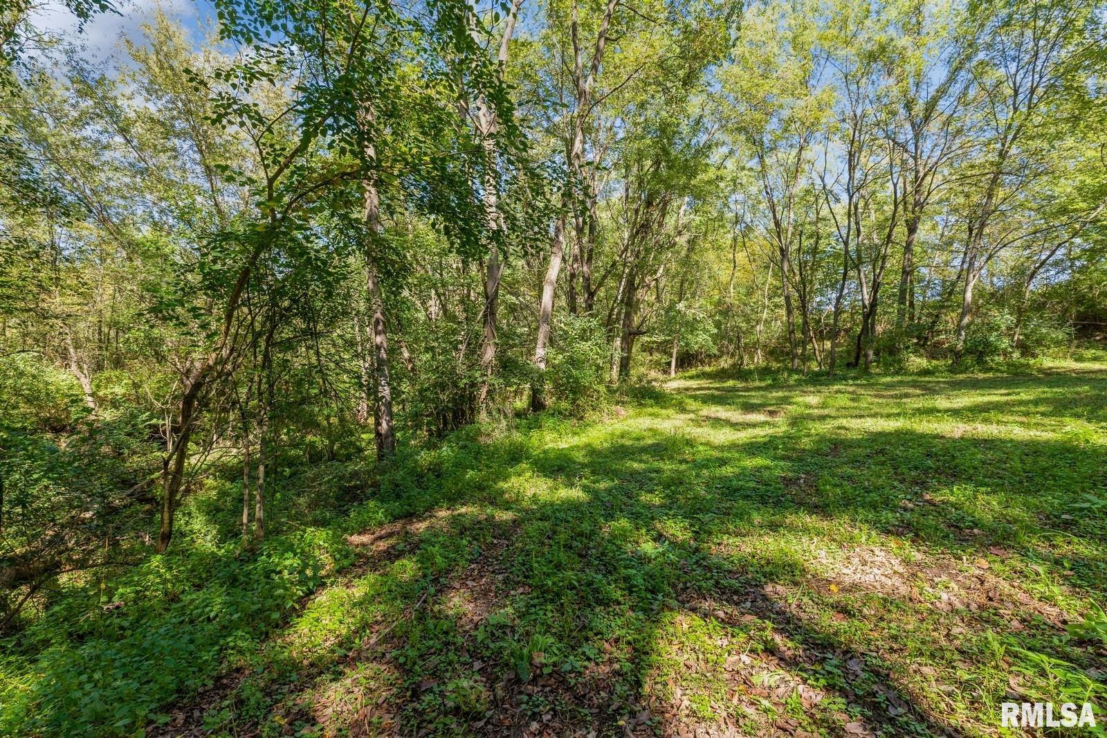 866 230th Street Viola, IL 61486 - Photo 15 of 26 Gallery Image 15
