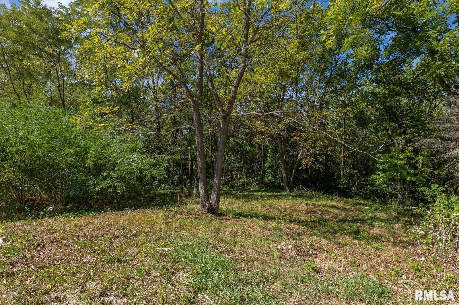 866 230th Street Viola, IL 61486 - Photo 3 of 26 Gallery Image 3