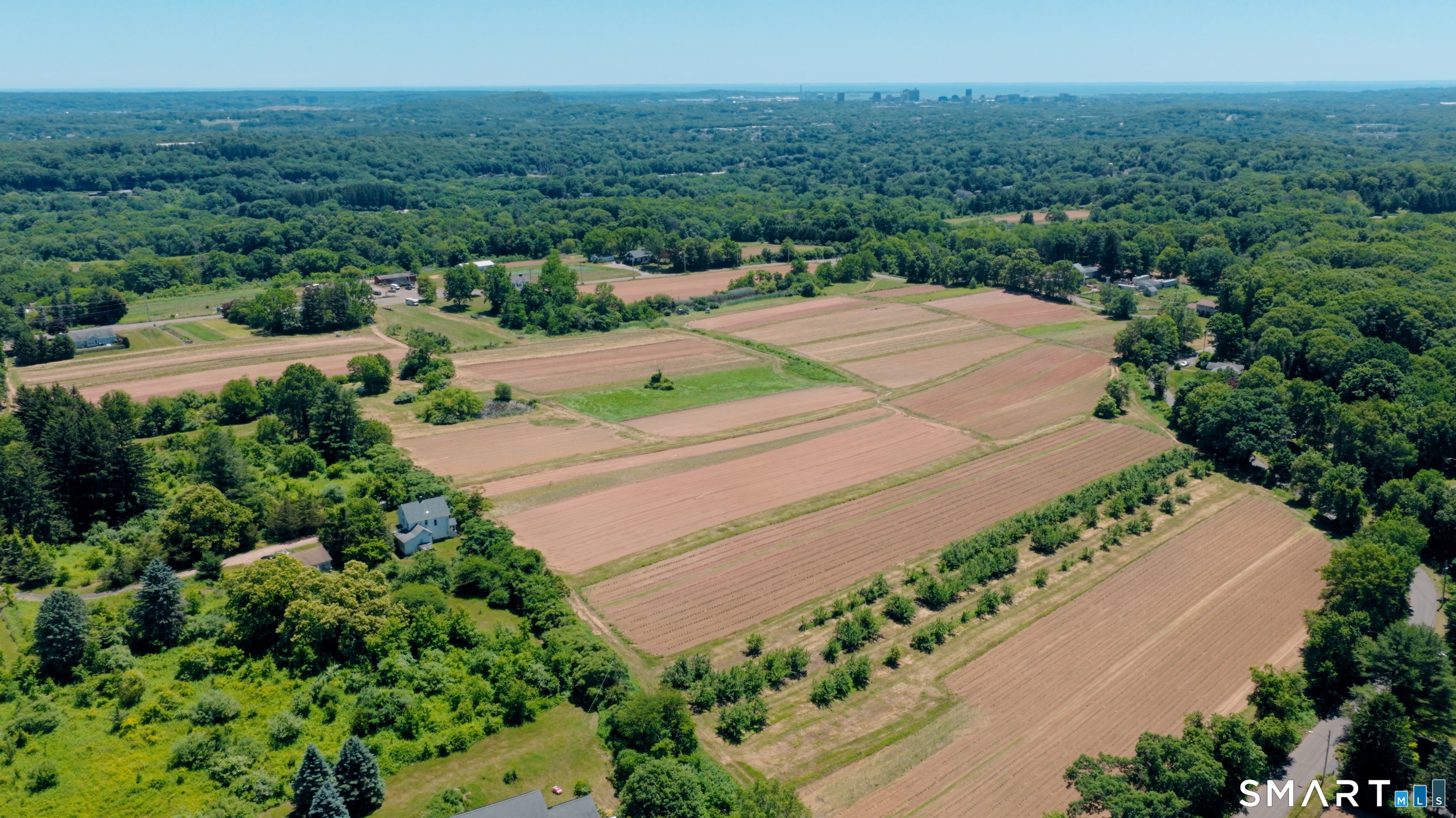 810 Dunbar Hill Road Hamden, CT 06514 - Photo 35 of 40