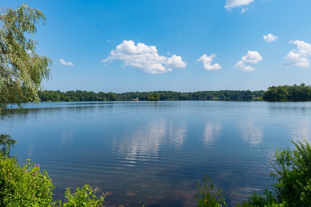 273 Lakeside Road Hanson, MA 02341 - Photo 26 of 30 Gallery Image 26