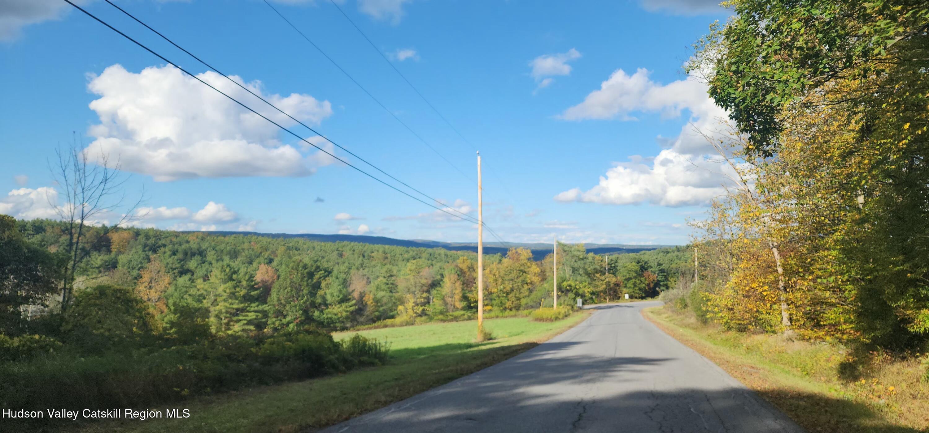 0 Cunningham And Cochrane Road Windham, NY 12496 - Photo 4 of 16 a view of a yard