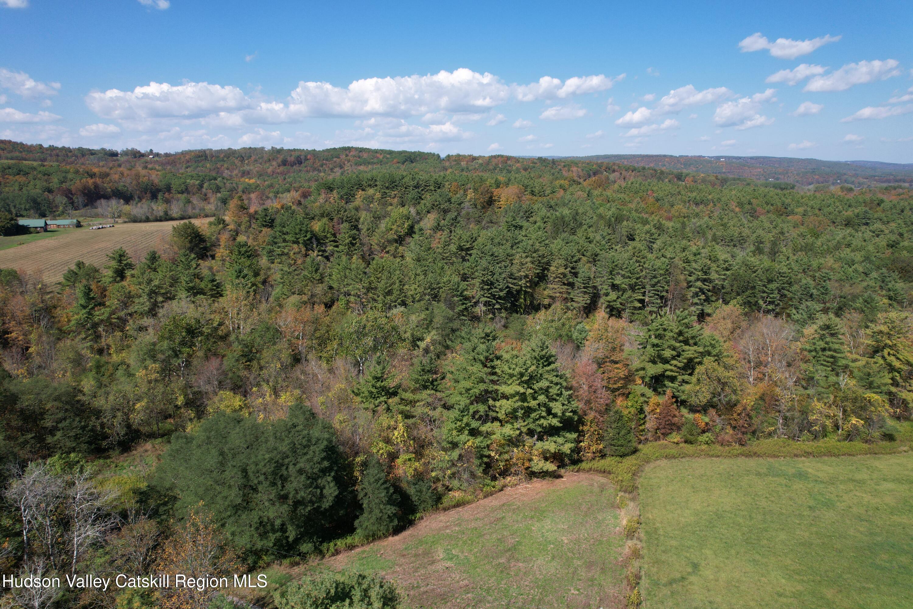 0 Cunningham And Cochrane Road Windham, NY 12496 - Photo 6 of 16