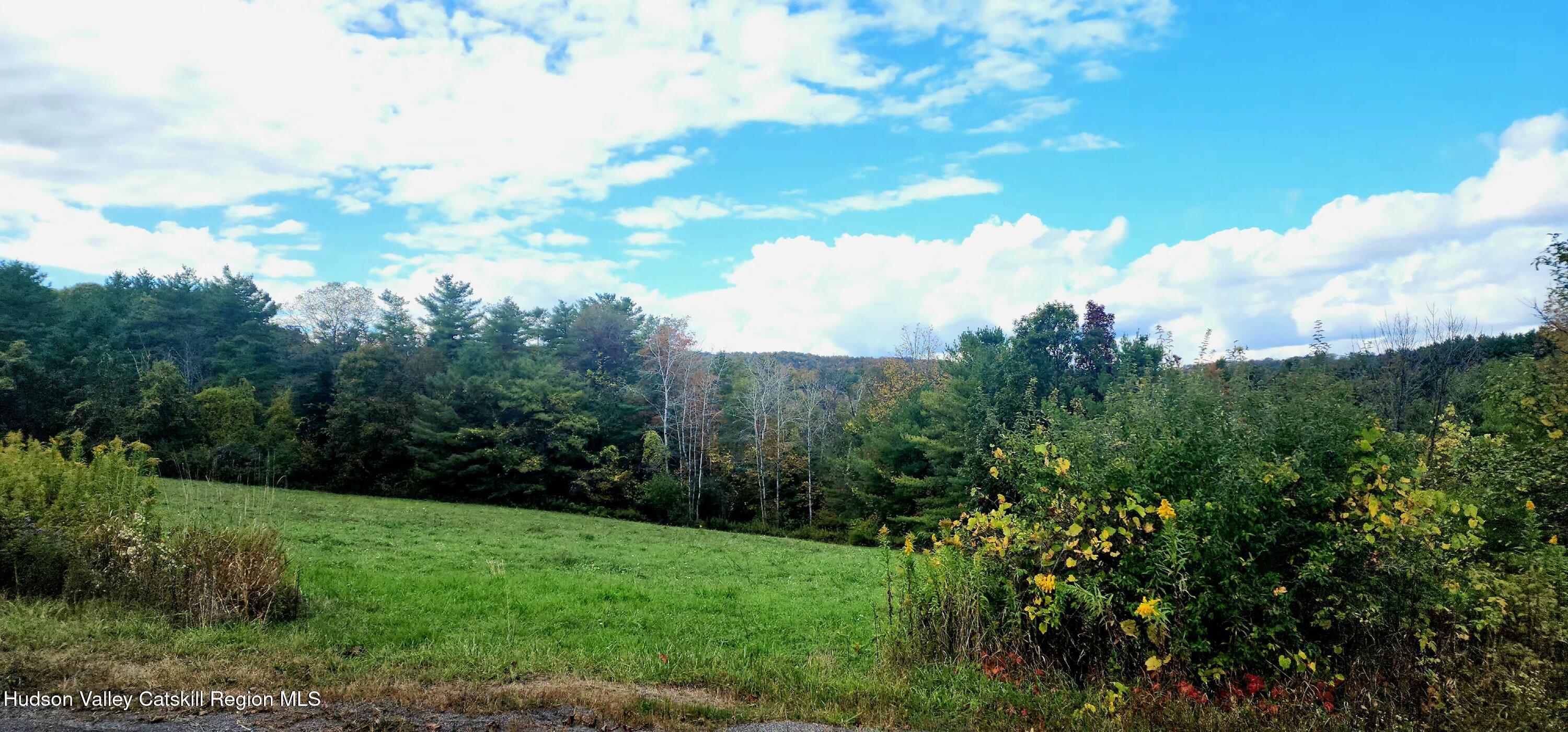 0 Cunningham And Cochrane Road Windham, NY 12496 - Photo 7 of 16 a view of a bunch of trees and bushes
