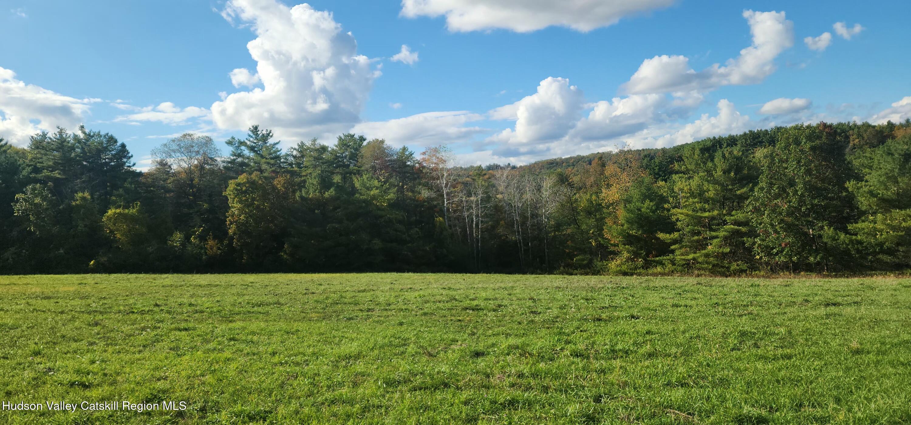 0 Cunningham And Cochrane Road Windham, NY 12496 - Photo 8 of 16 a view of a green yard