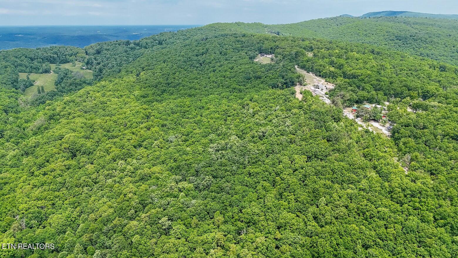 1407 Holloway Ridge Road Spring City, TN 37381 - Photo 22 of 60 140726