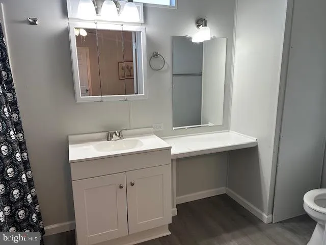 a bathroom with a sink vanity and toilet