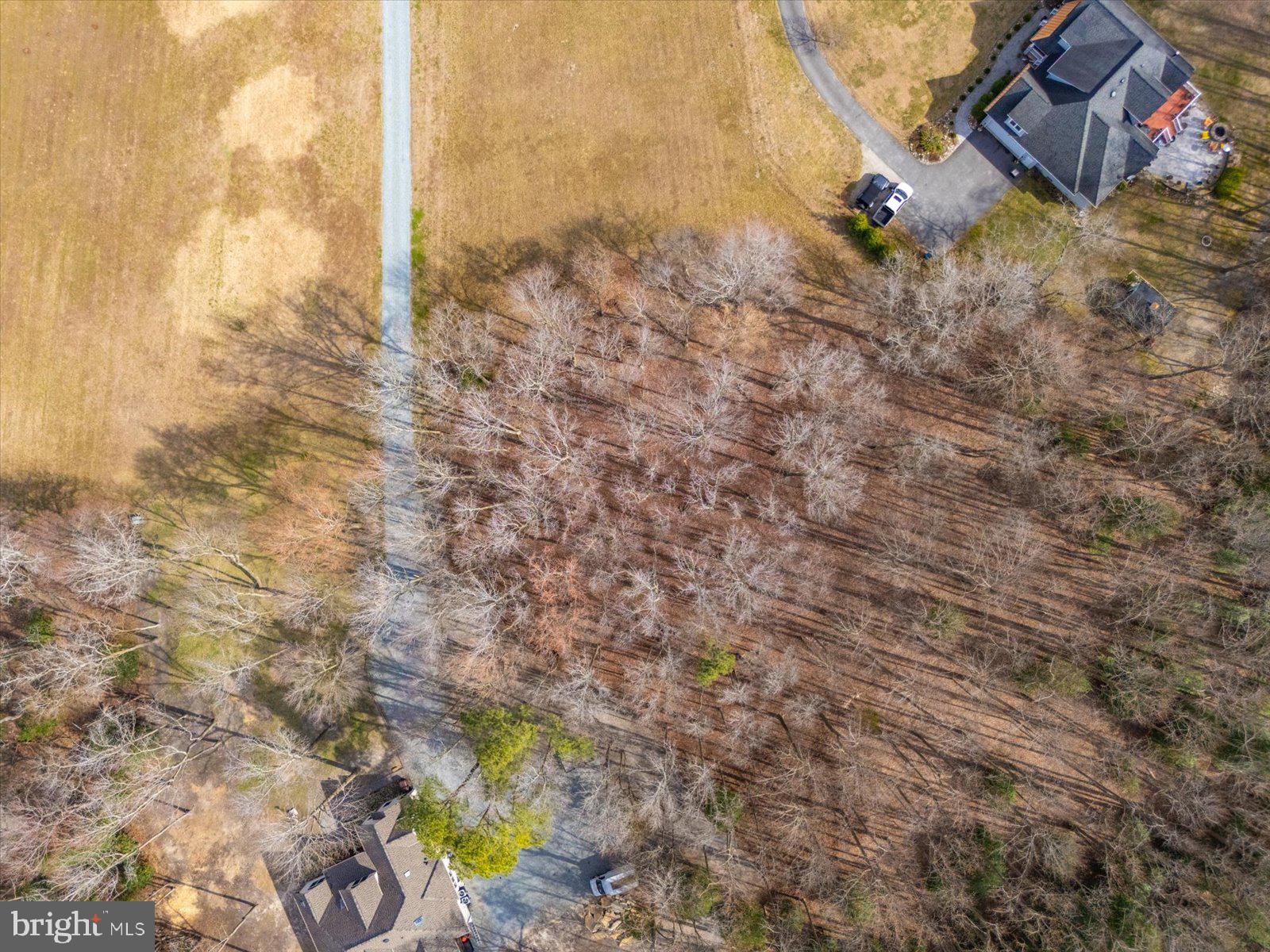 10168 Rabbit Ridge Lane Bishopville, MD 21813 - Photo 11 of 28 v