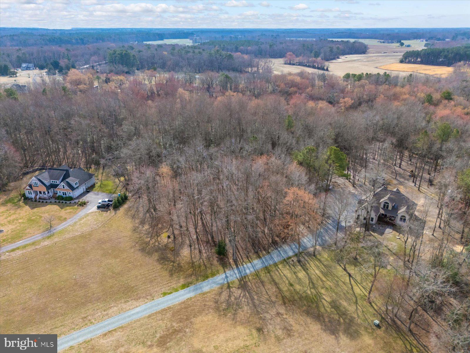 10168 Rabbit Ridge Lane Bishopville, MD 21813 - Photo 13 of 28 Aerial view of the lot and neighborhood