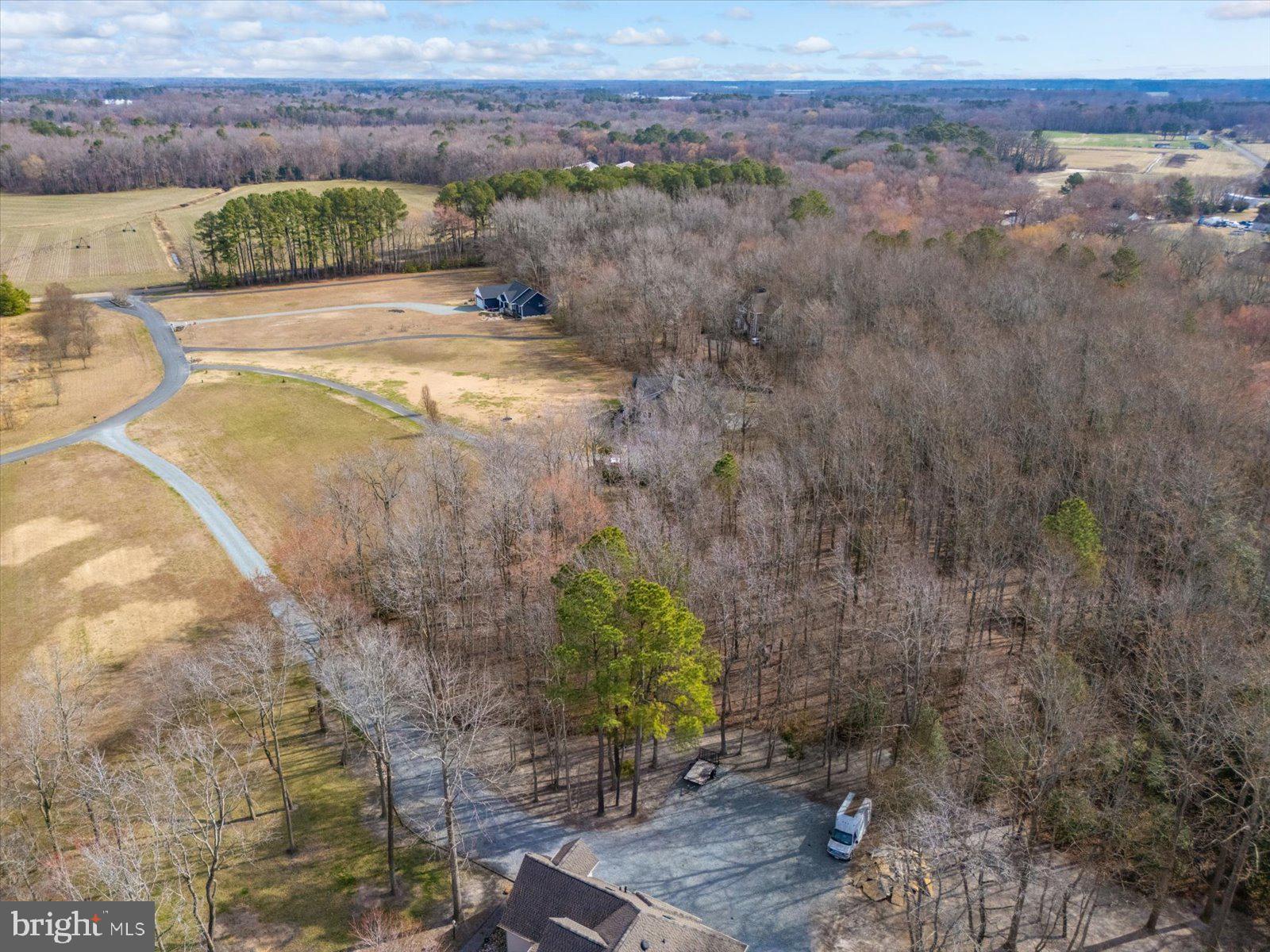 10168 Rabbit Ridge Lane Bishopville, MD 21813 - Photo 15 of 28 Aerial view of the lot and neighborhood