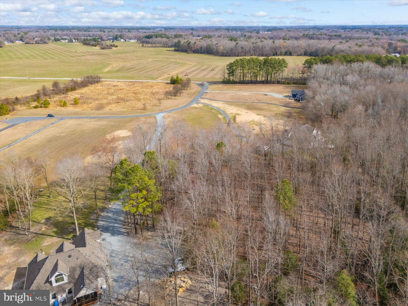 10168 Rabbit Ridge Lane Bishopville, MD 21813 - Photo 16 of 28 Aerial view of the lot and neighborhood