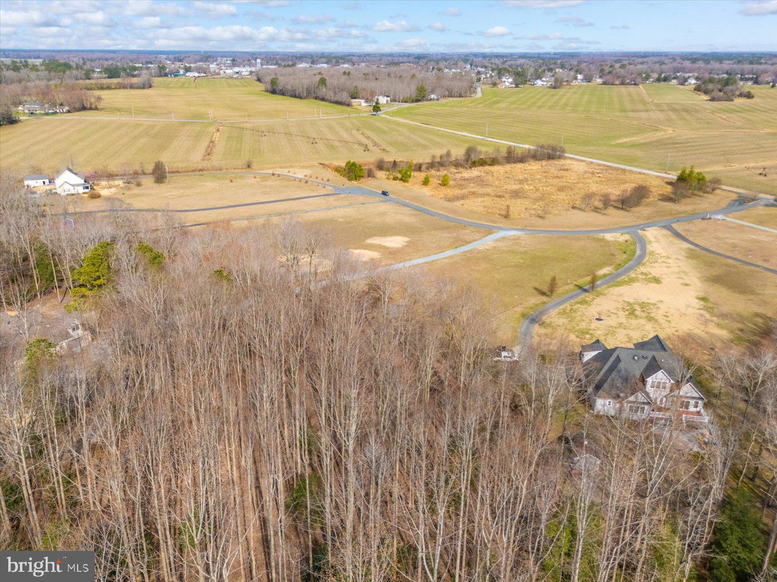 10168 Rabbit Ridge Lane Bishopville, MD 21813 - Photo 17 of 28 Aerial view of the lot and neighborhood