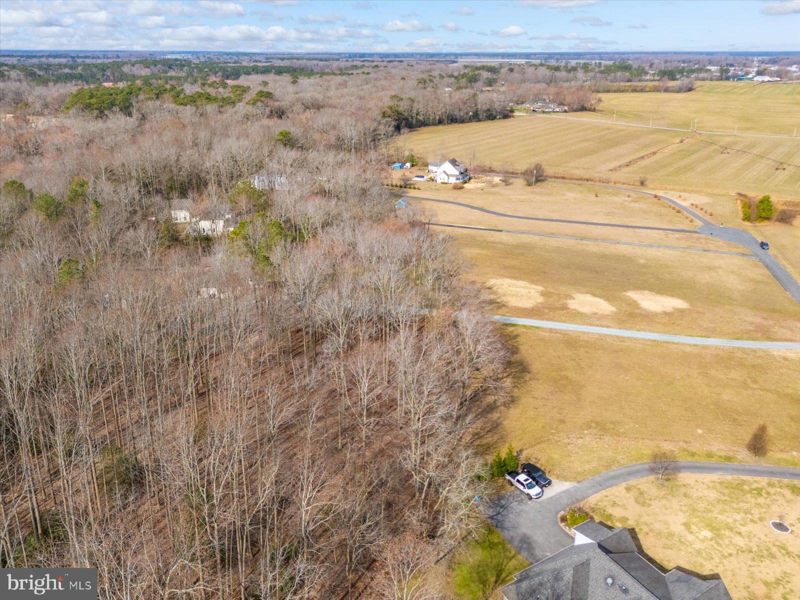 10168 Rabbit Ridge Lane Bishopville, MD 21813 - Photo 18 of 28 Aerial view of the lot and neighborhood