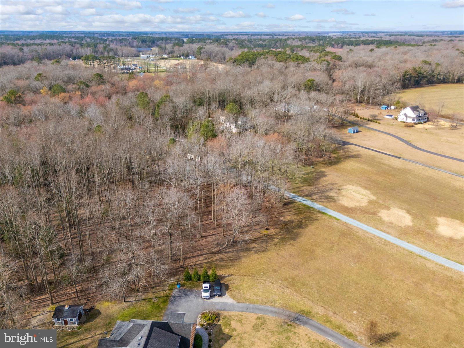 10168 Rabbit Ridge Lane Bishopville, MD 21813 - Photo 19 of 28 Aerial view of the lot and neighborhood