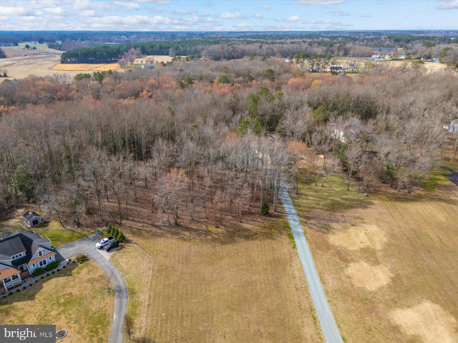 10168 Rabbit Ridge Lane Bishopville, MD 21813 - Photo 20 of 28 Aerial view of the lot and neighborhood