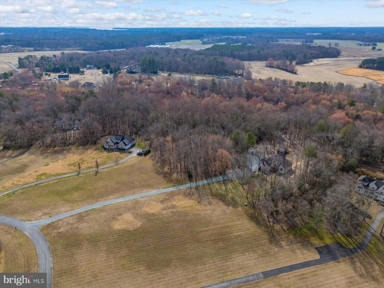 10168 Rabbit Ridge Lane Bishopville, MD 21813 - Photo 21 of 28 Aerial view of the lot and neighborhood