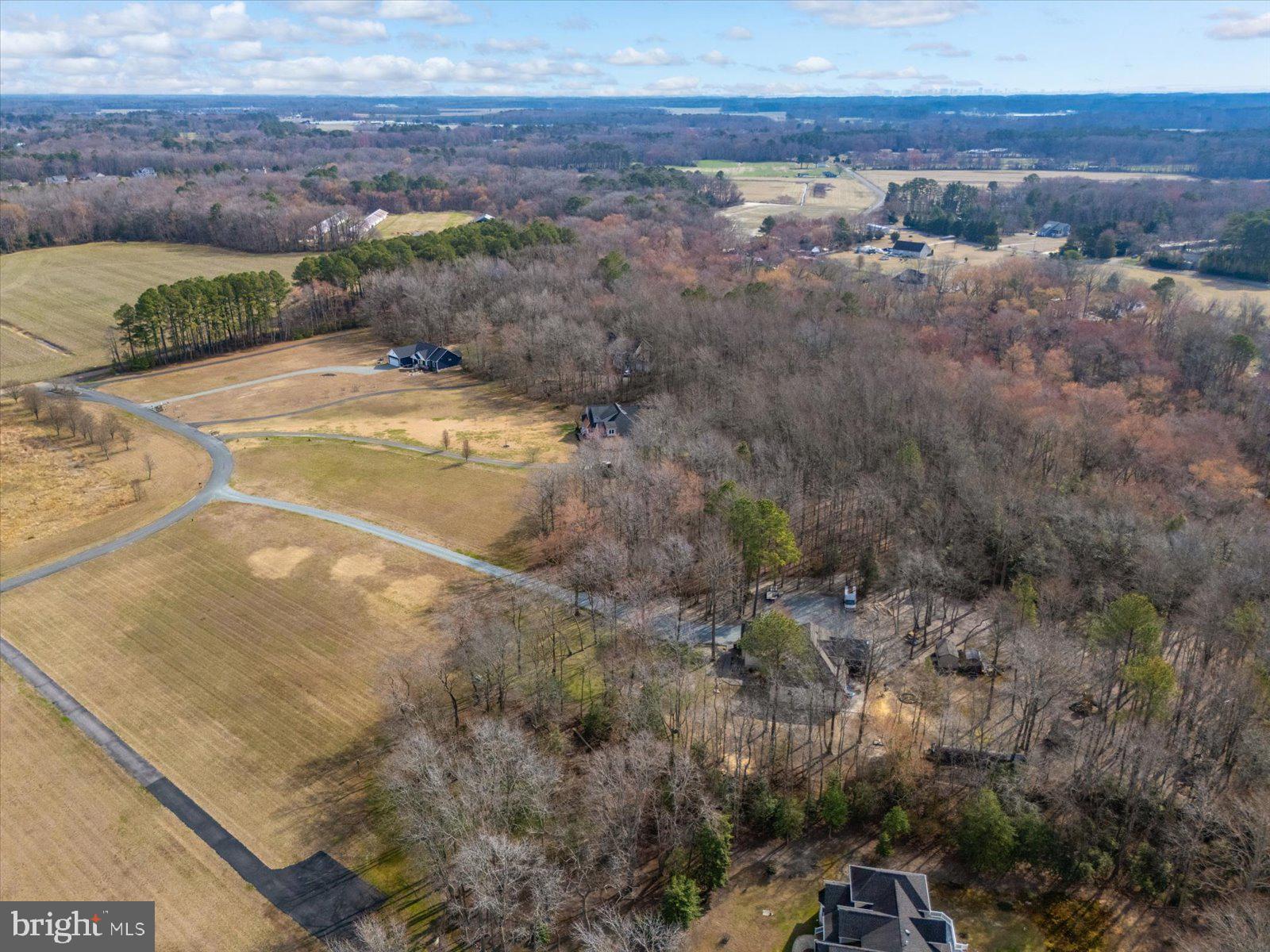 10168 Rabbit Ridge Lane Bishopville, MD 21813 - Photo 22 of 28 Aerial view of the lot and neighborhood