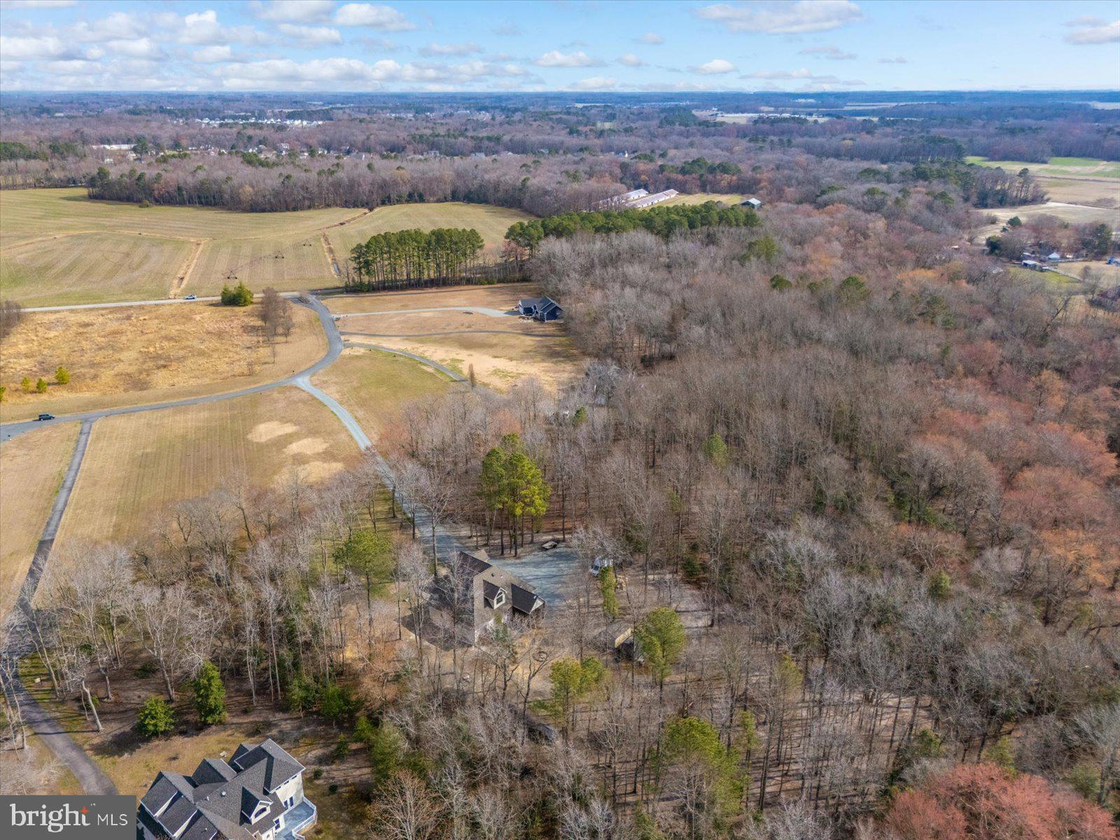 10168 Rabbit Ridge Lane Bishopville, MD 21813 - Photo 23 of 28 Aerial view of the lot and neighborhood
