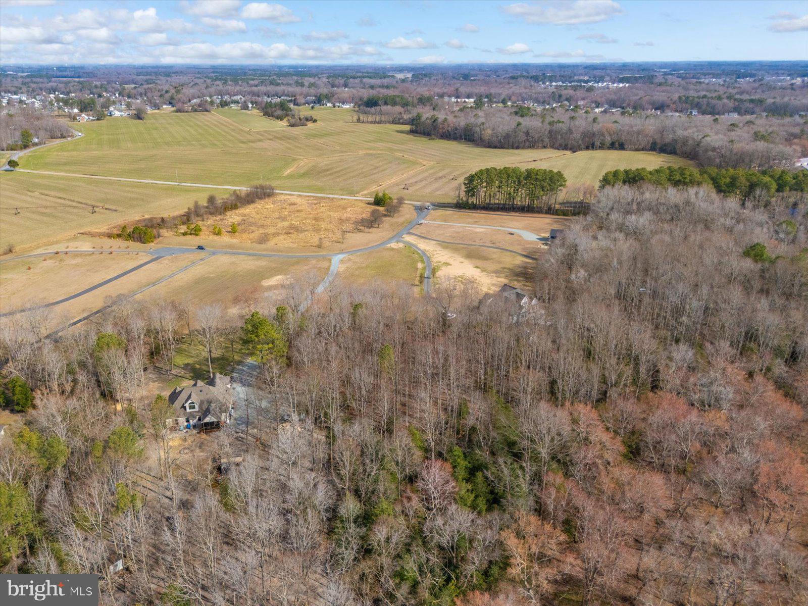 10168 Rabbit Ridge Lane Bishopville, MD 21813 - Photo 24 of 28 Aerial view of the lot and neighborhood