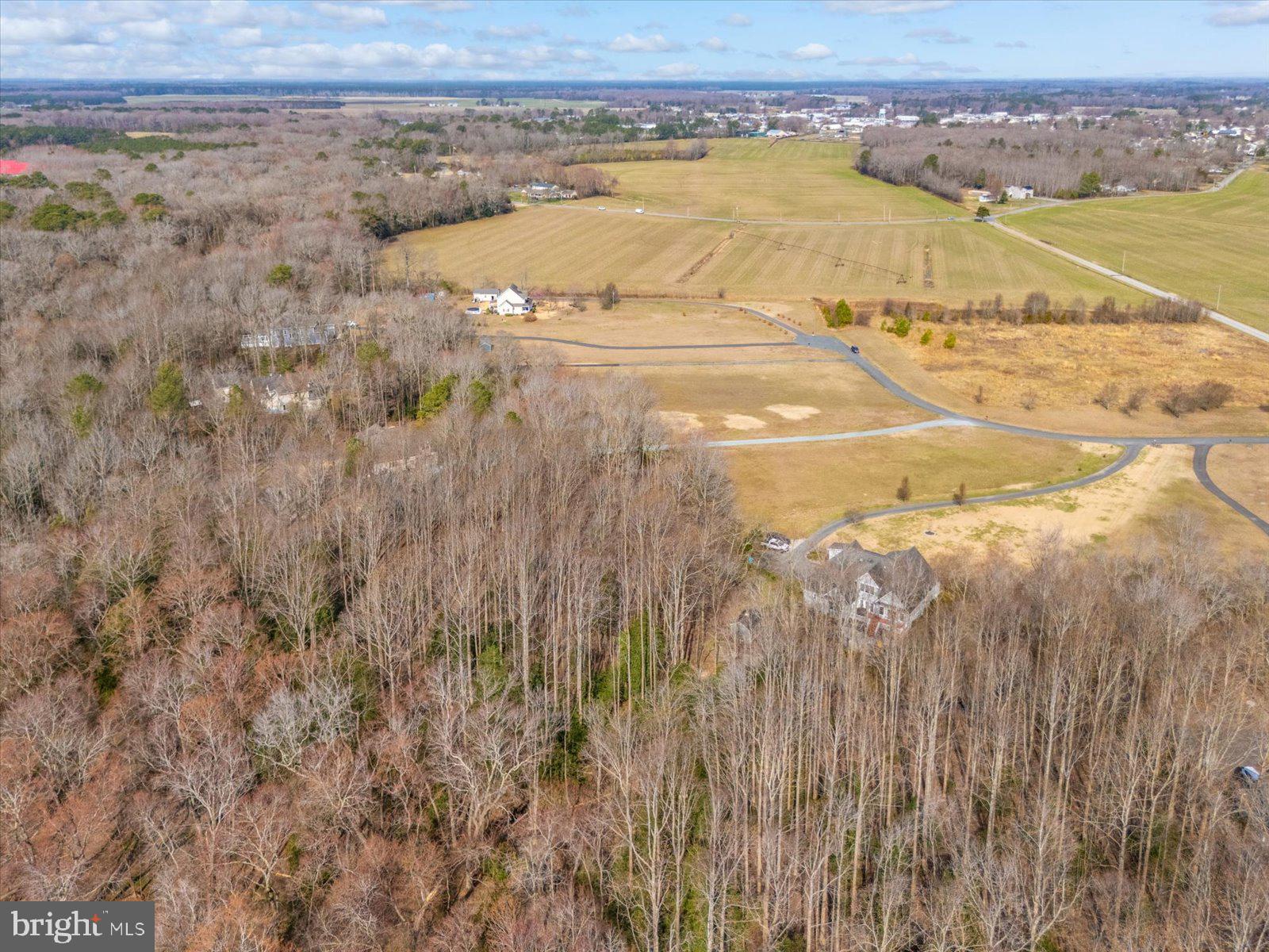 10168 Rabbit Ridge Lane Bishopville, MD 21813 - Photo 25 of 28 Aerial view of the lot and neighborhood