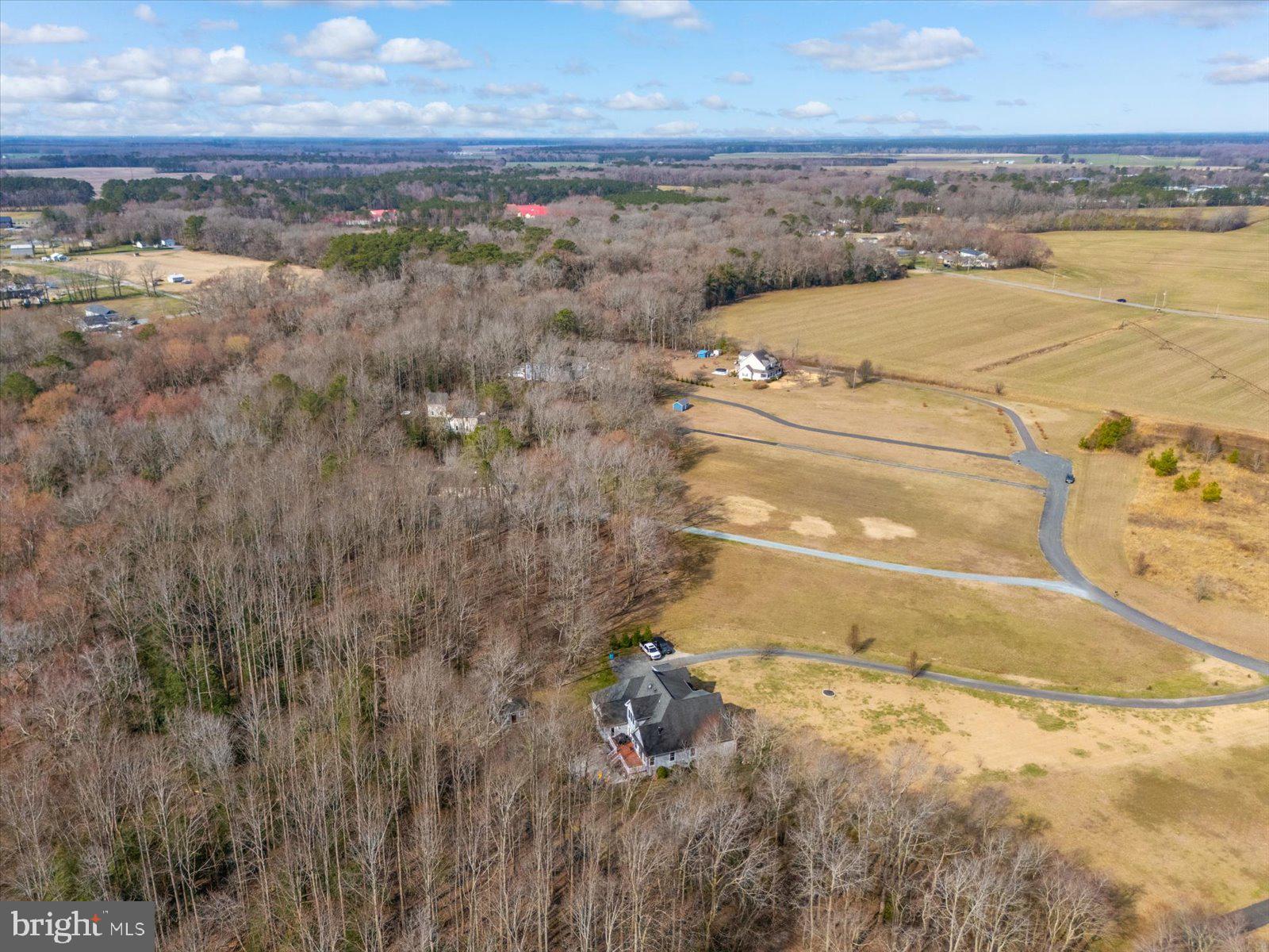10168 Rabbit Ridge Lane Bishopville, MD 21813 - Photo 26 of 28 Aerial view of the lot and neighborhood