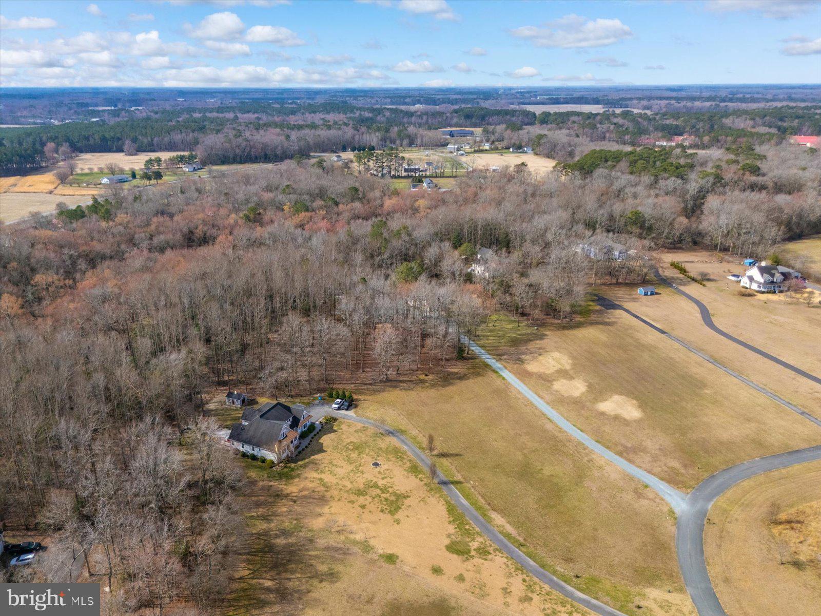 10168 Rabbit Ridge Lane Bishopville, MD 21813 - Photo 27 of 28 Aerial view of the lot and neighborhood