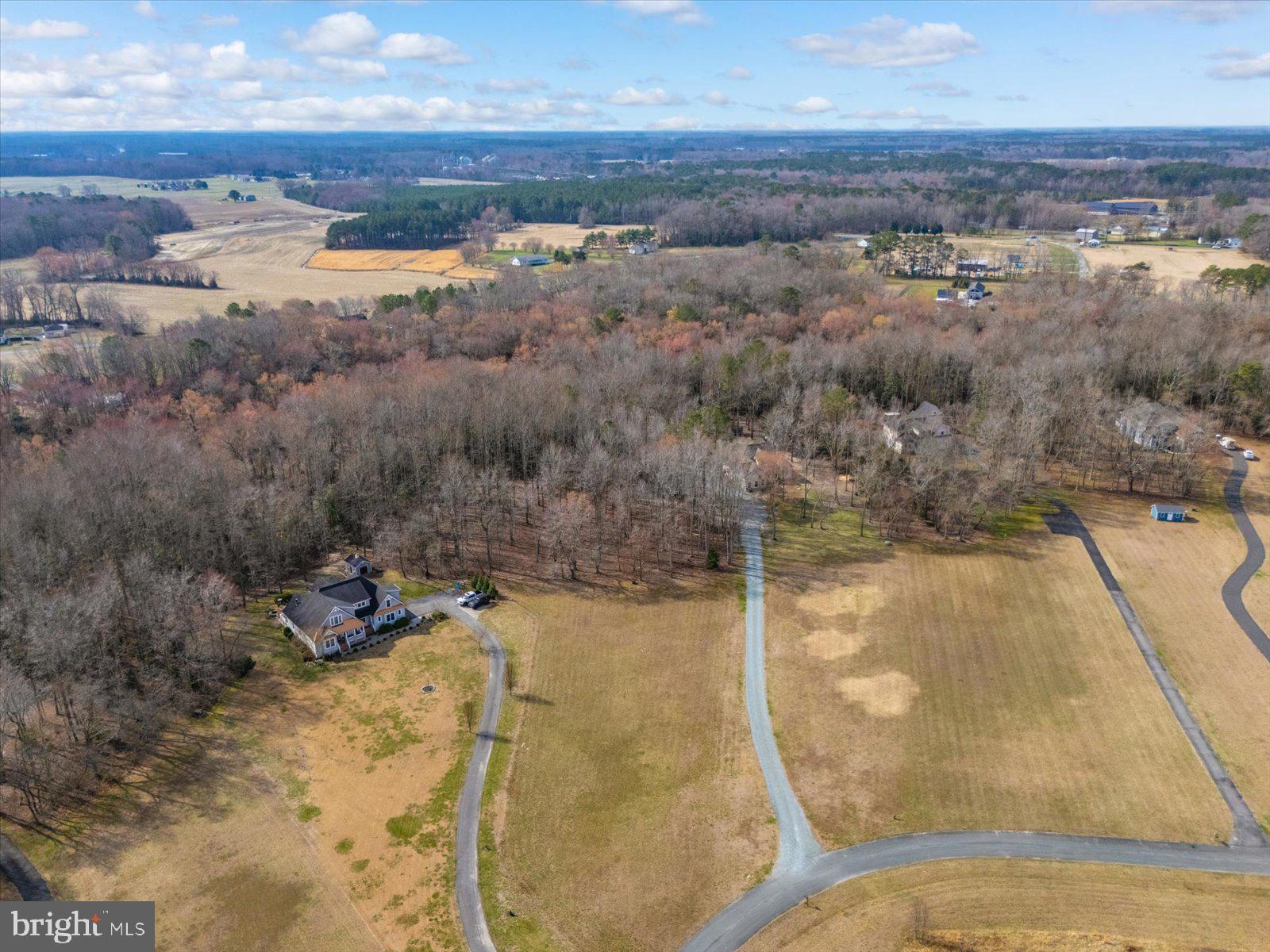 10168 Rabbit Ridge Lane Bishopville, MD 21813 - Photo 28 of 28 Aerial view of the lot and neighborhood