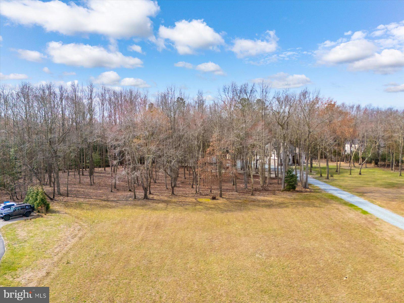 10168 Rabbit Ridge Lane Bishopville, MD 21813 - Photo 5 of 28 Perfect blend of privacy and convenience