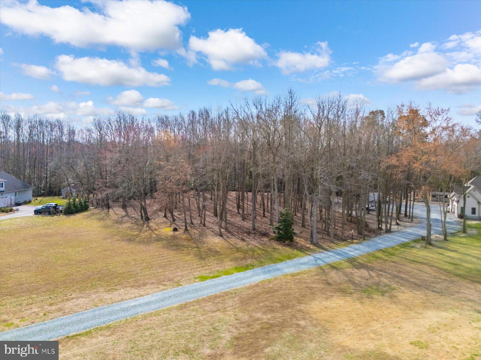 10168 Rabbit Ridge Lane Bishopville, MD 21813 - Photo 6 of 28 Partially wooded