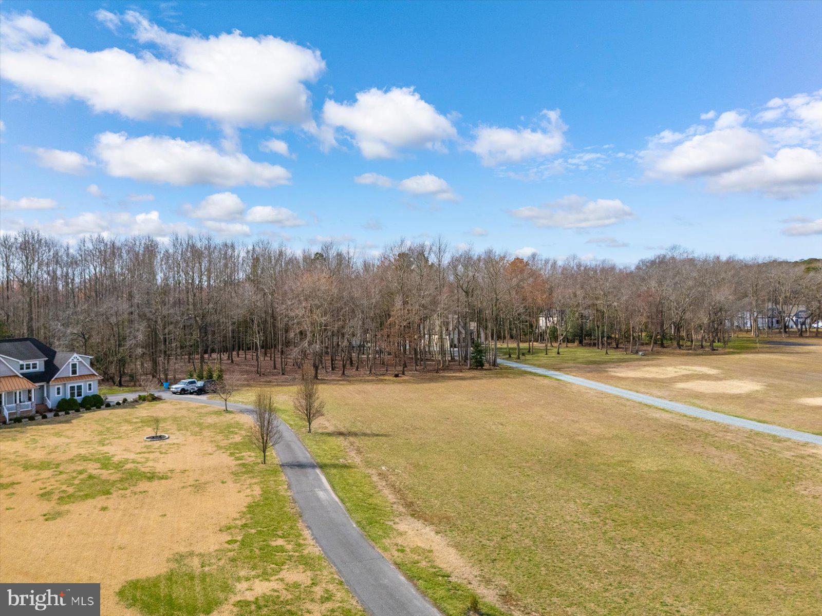 10168 Rabbit Ridge Lane Bishopville, MD 21813 - Photo 9 of 28 Built your dream home on this 4+acre lot